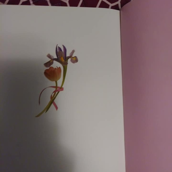 A womans Jpurnal - Picture 5 of 6